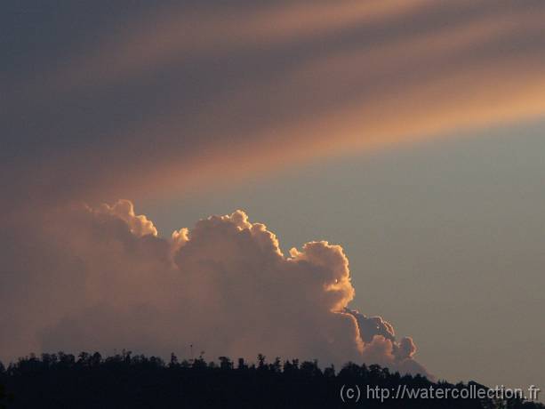 2004-08-23 20-24-05 Nature 200,0mm 1_80_eme F5,0 